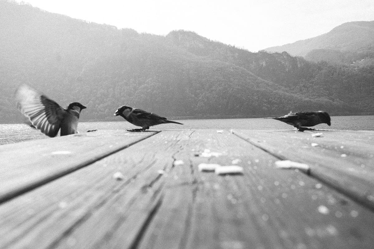 fotografo di famiglia lago di lecco