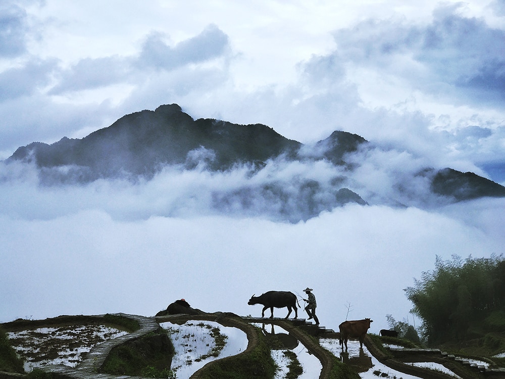 natura smartphone photography